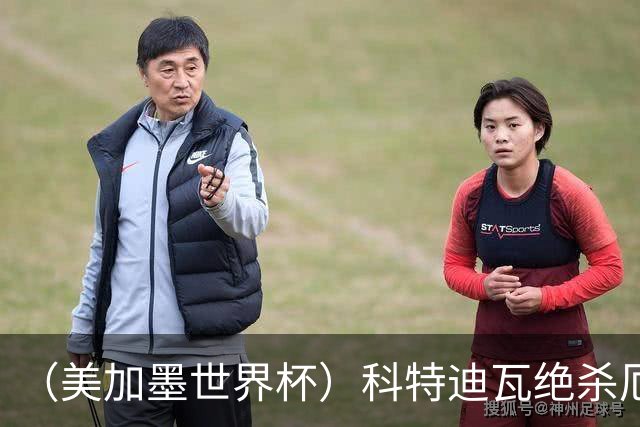 （美加墨世界杯）科特迪瓦绝杀厄瓜多尔 瑞典5:1大胜突尼斯